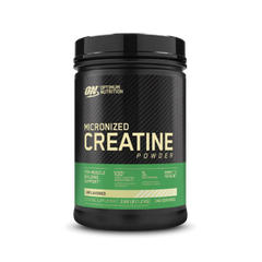 Optimum Nutrition Micronized Creatine