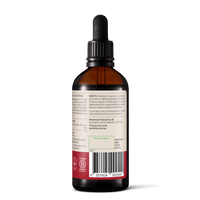 Wanderlust Cinnamon 90ml