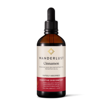 Wanderlust Cinnamon 90ml