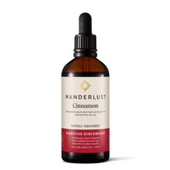Wanderlust Cinnamon 90ml
