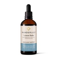 Wanderlust Lemon Balm 90ml | Mr Vitamins