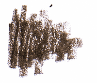 Benecos Natural Eyebrow Designer - Brown