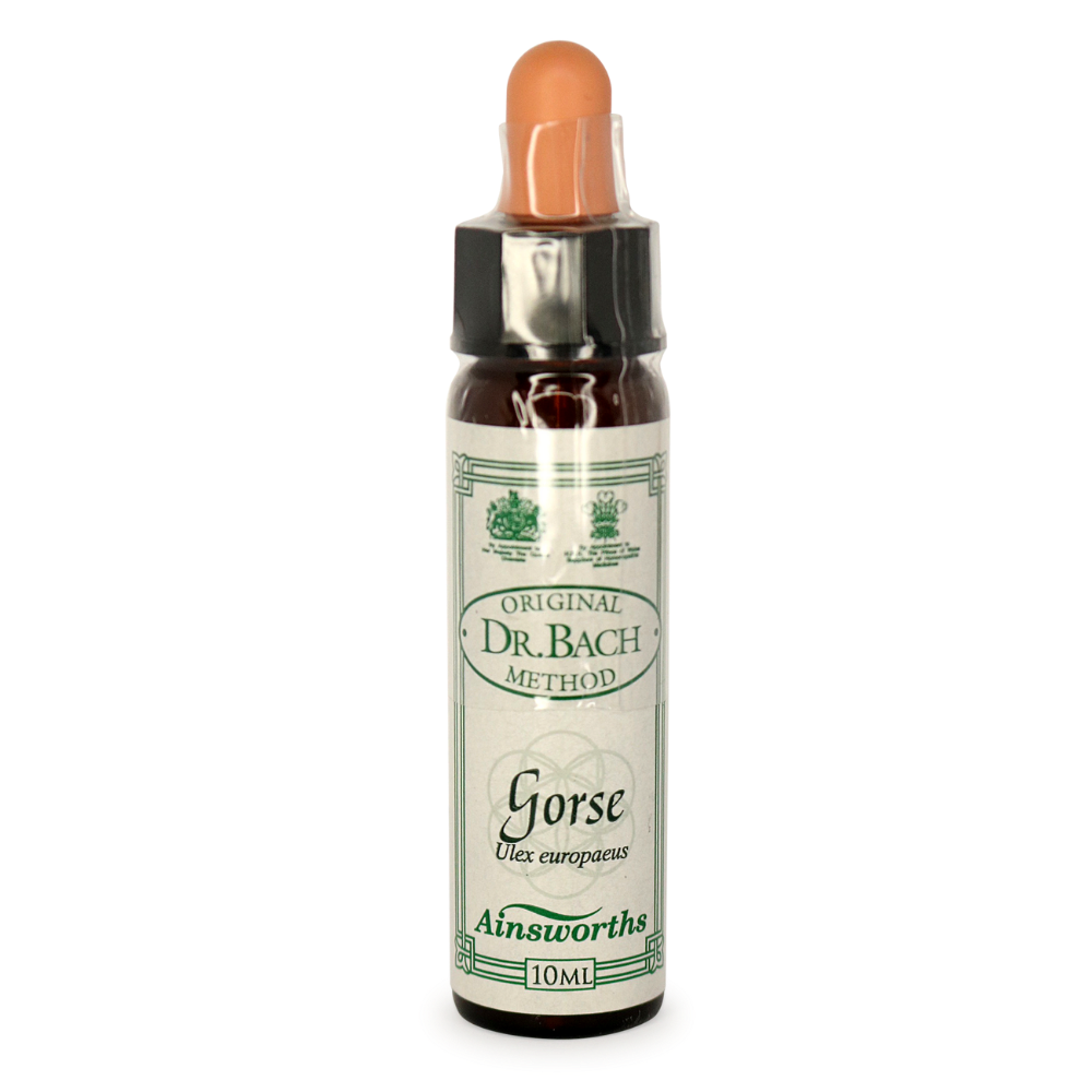 Ainsworths Bach Flower Remedies - Gorse