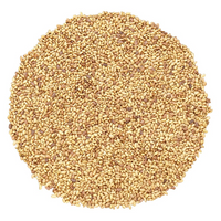 Living Foods Organic Alfalfa Seeds