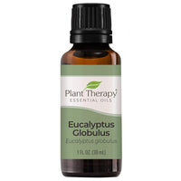 Plant Therapy Eucalyptus Globulus Essential Oil