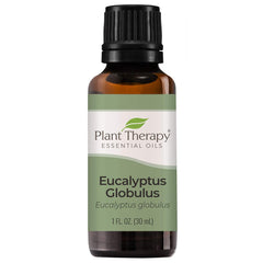 Plant Therapy Eucalyptus Globulus Essential Oil
