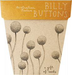 Sow N Sow Gift Of Seeds - Billy Buttons