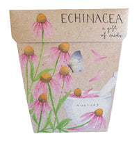 Sow N Sow Gift Of Seeds - Echinacea