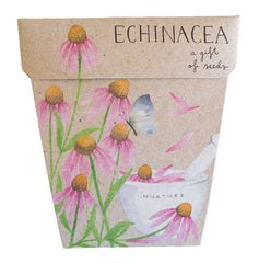 Sow N Sow Gift Of Seeds - Echinacea