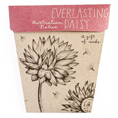 Sow N Sow Gift Of Seeds - Everlasting Daisy