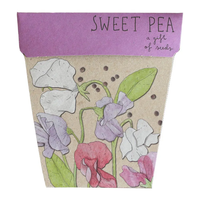 Sow N Sow Gift Of Seeds - Sweet Pea
