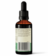 Wanderlust Echinacea purp