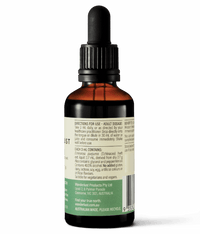 Wanderlust Echinacea purp