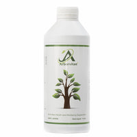 Arborvitae Health & Wellbeing Supplement