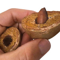 Barukas Nuts Salted