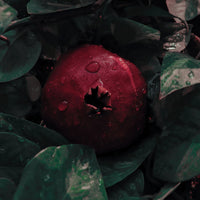 Byron Bay Love Plumping Organic Pomegranate Oil of Turkey | Mr Vitamins