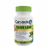 Carusos Olive Leaf One A Day