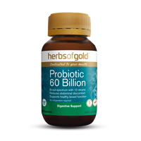 Herbs Of Gold Probiotic 60 Billion | Mr Vitamins
