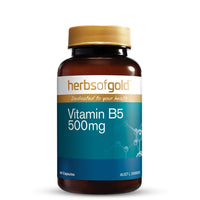 Herbs Of Gold Vitamin B5 500mg