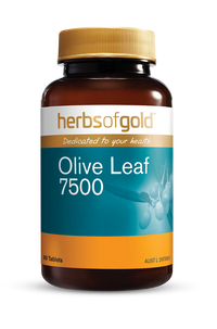 Herbs Of Gold Olive Leaf 7500 Tablets