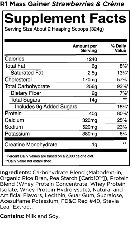 Rule 1 Mass Gainer