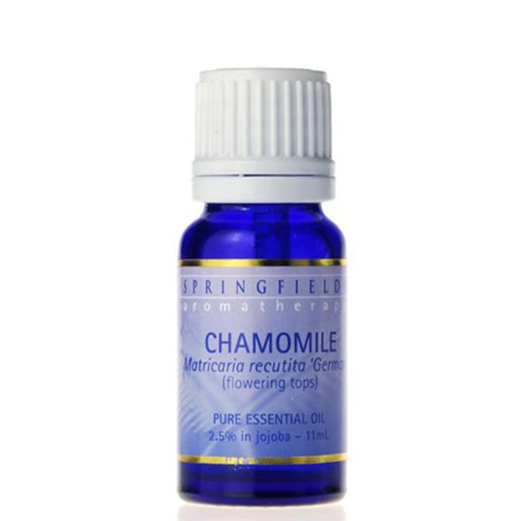 Springfields Chamomile German Blue