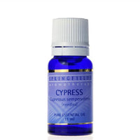Springfields Cypress