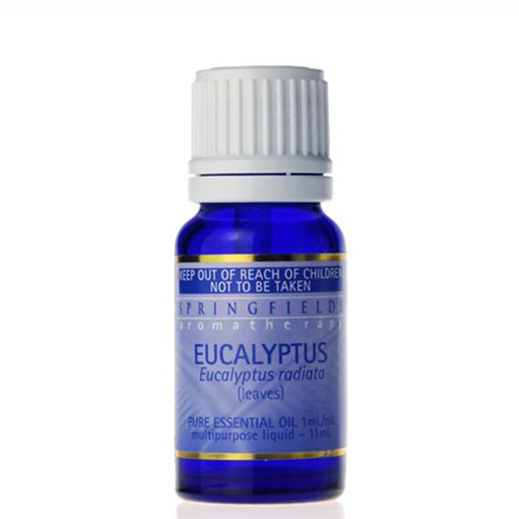 Springfields Eucalyptus