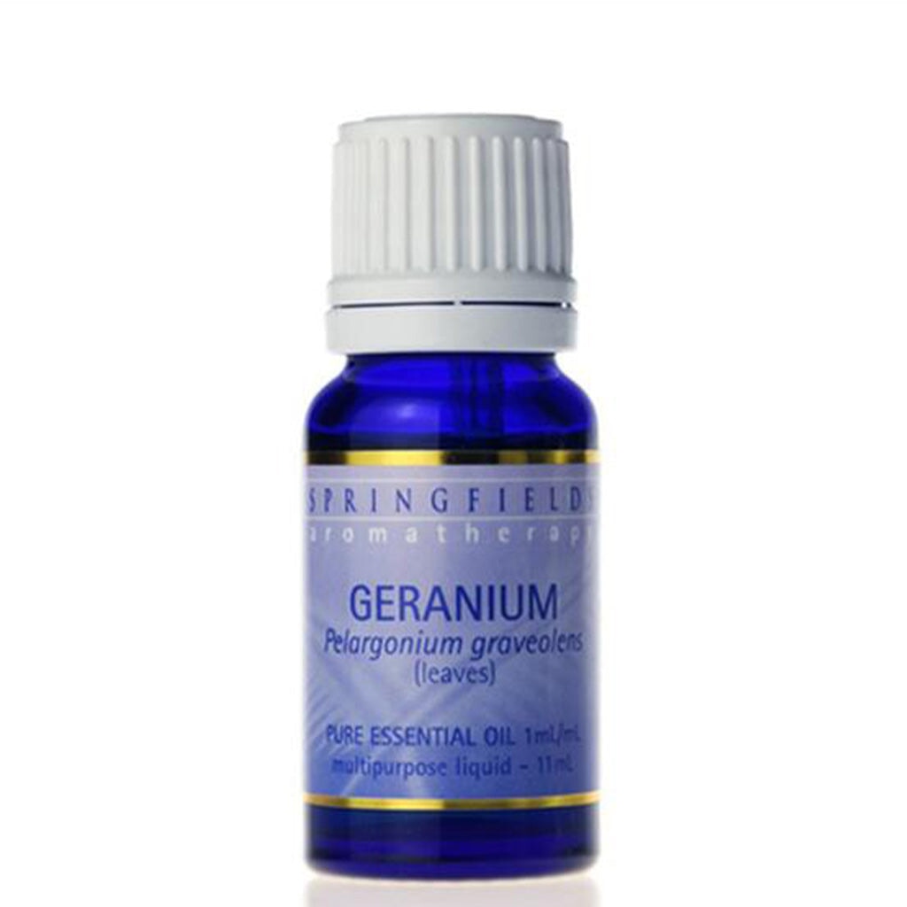 Springfields Geranium