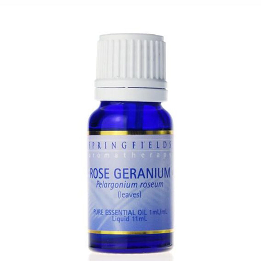 Springfields Rose Geranium