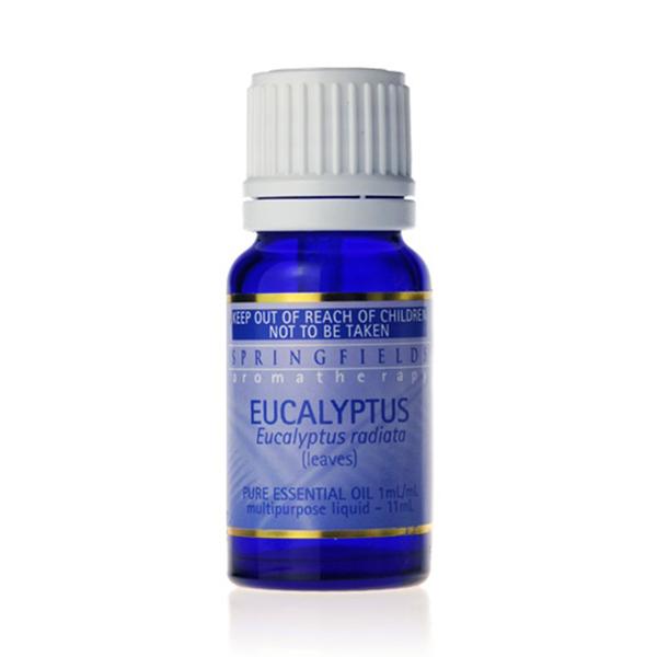 Springfields Eucalyptus