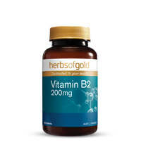 HOG VITAMIN B2 200MG 60T 60 Tablets | Mr Vitamins