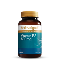 HOG VITAMIN B5 500MG 60 Capsules | Mr Vitamins