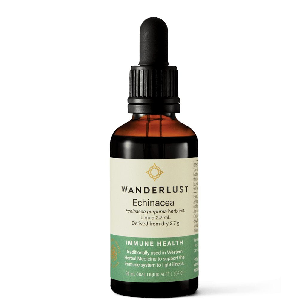 Wanderlust Echinacea purp
