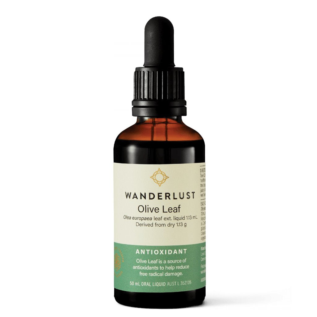 Wanderlust Olive Leaf